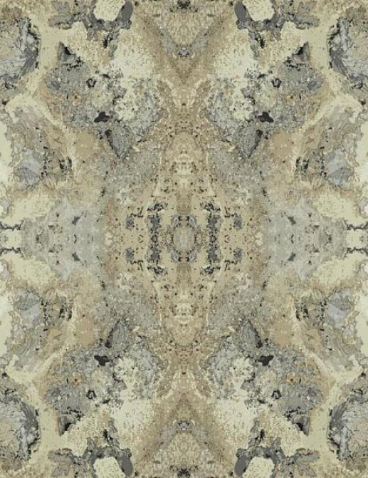 Обои York Candiсe Olson - Botanical Dreams DN3717