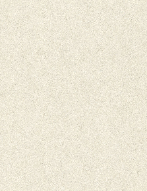 Обои Rasch Wall Textures XL Vol3 947649