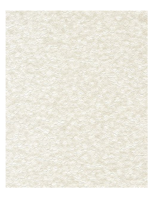 Обои Casamance Chromatic C9750462