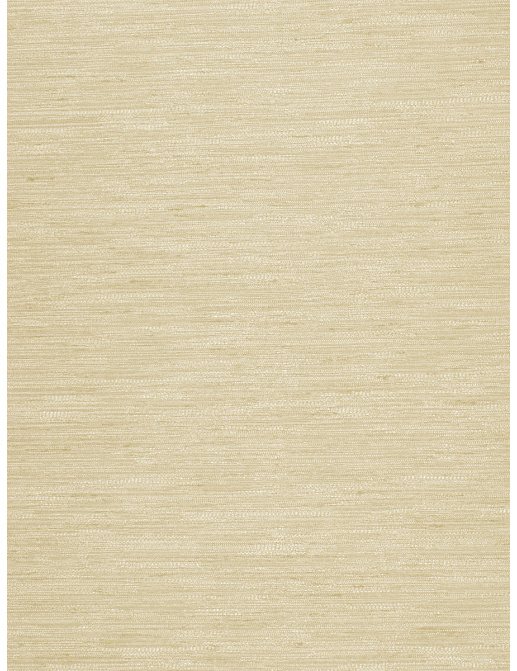 Ткань Trend Silky Solids Drapery 02840/Natural