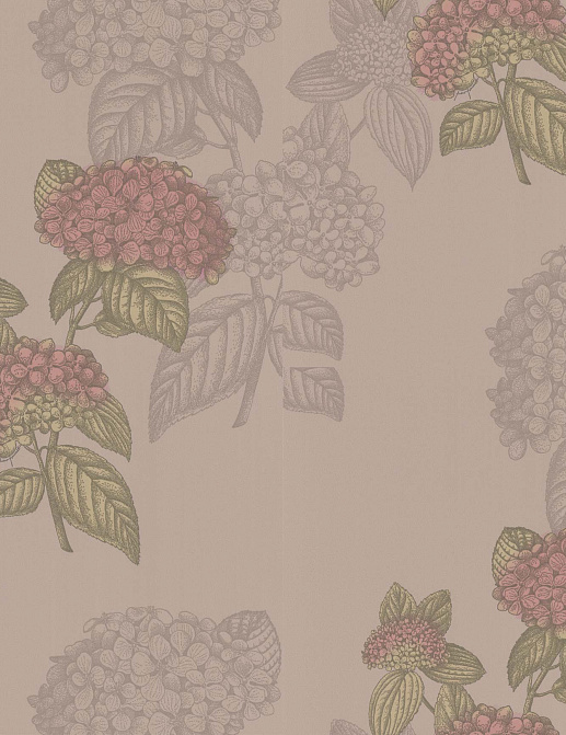 Обои Cole & Son Fornasetti 77/10039