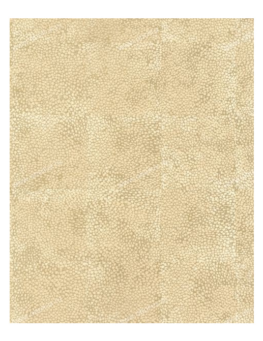 Обои Osborne & Little Wallpaper Album IV W5223-05