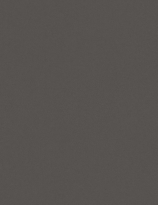 Обои Rasch Blue Velvet 610178