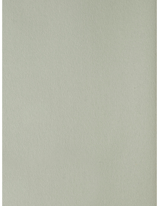 Ткань Holland & Sherry Wool Felt DE11967