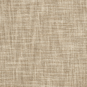 Ткань Fabricut Vignettes Vol.XIII Latte Kamose texture/Driftwood