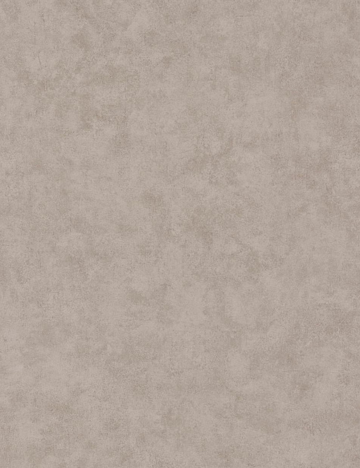 Обои Caselio Beton 101481795