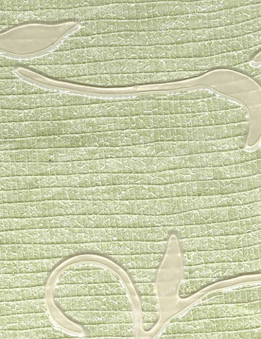 Обои Schumacher Atelier 5003392
