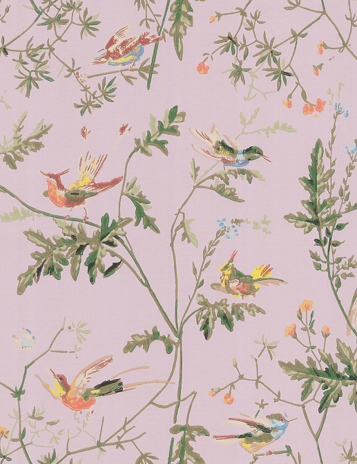 Обои Cole & Son Collection of Flowers 62/1003