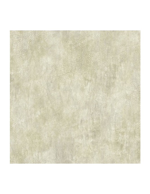 Обои Wallquest Trieste rg41608