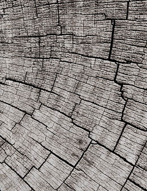 Панно и фотообои Glamora Creative Wallcovering GLCR022A
