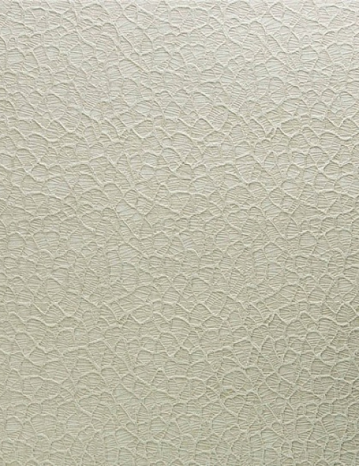 Обои Giardini Surfaces CR001 org