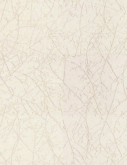 Ткань Kravet Calvin Klein Home Quartzite 29902/1