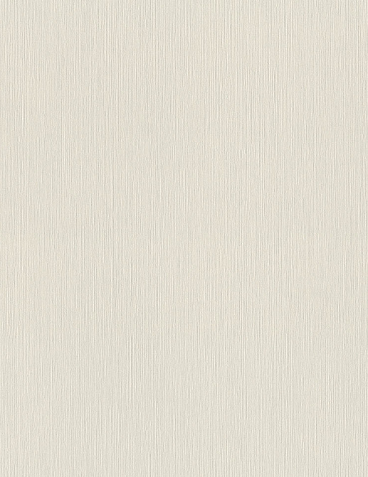 Обои Rasch Wall Textures XL Vol3 968521