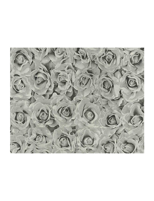 Обои Giardini Phlora & Phauna PH0112