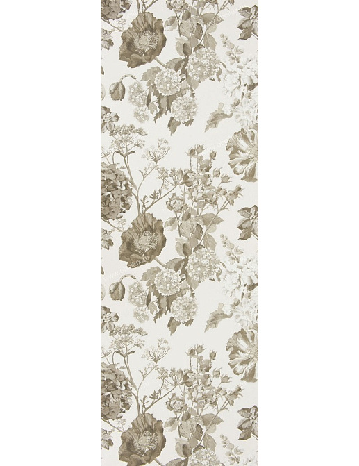 Обои Designers Guild Alexandria P623/05