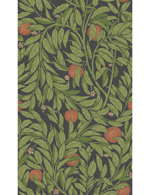 Панно и фотообои Affresco Historical Wallpaper Part I CW1902-COL1