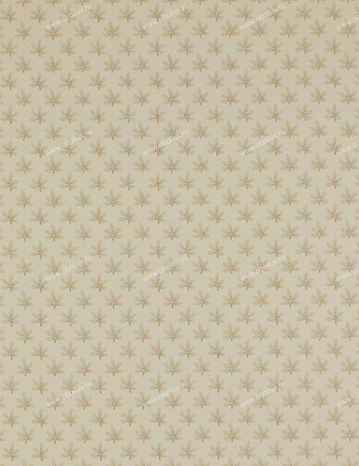 Обои Colefax and Fowler Ashbury 07984-01
