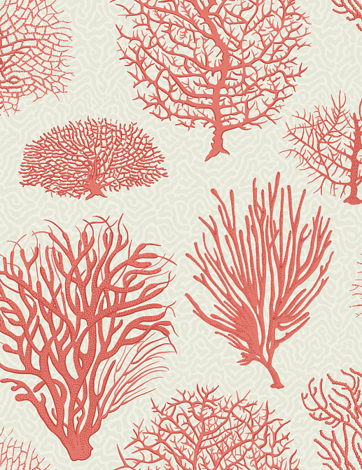 Обои Cole & Son Curio 107/2011