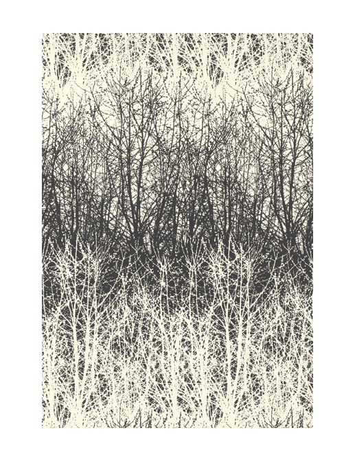 Обои Schumacher Modern Nature 2707243