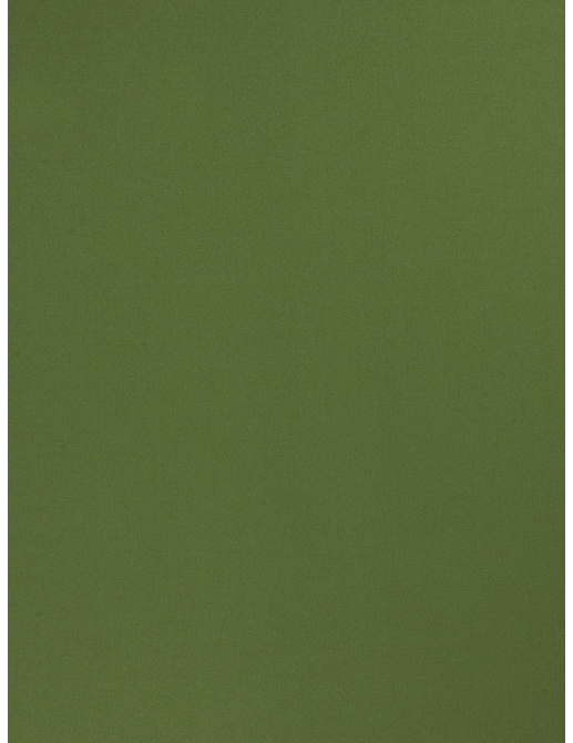 Ткань Trend Multipurpose Sleek Satin Vol.II 02022/Kelly