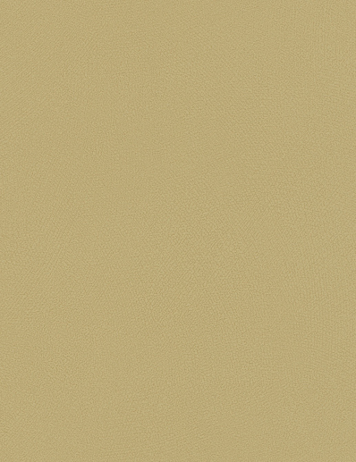 Обои Rasch Blue Velvet 610055