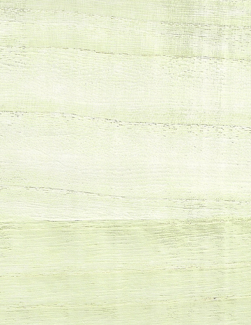 Обои Paper & Ink Natural Silhouettes NS52103