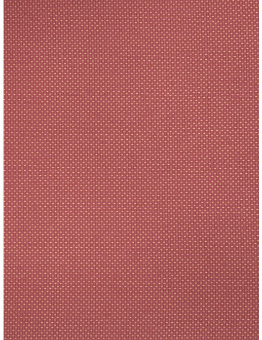 Ткань Trend Copper Ruby Prints & Wovens Vol.II 02392/Bubblegum