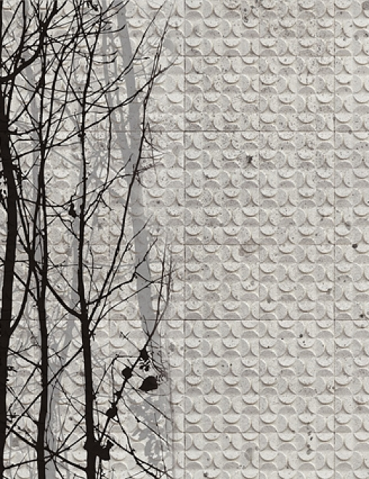 Панно и фотообои Wall & Deco Wet System 2015 WET_FG1502