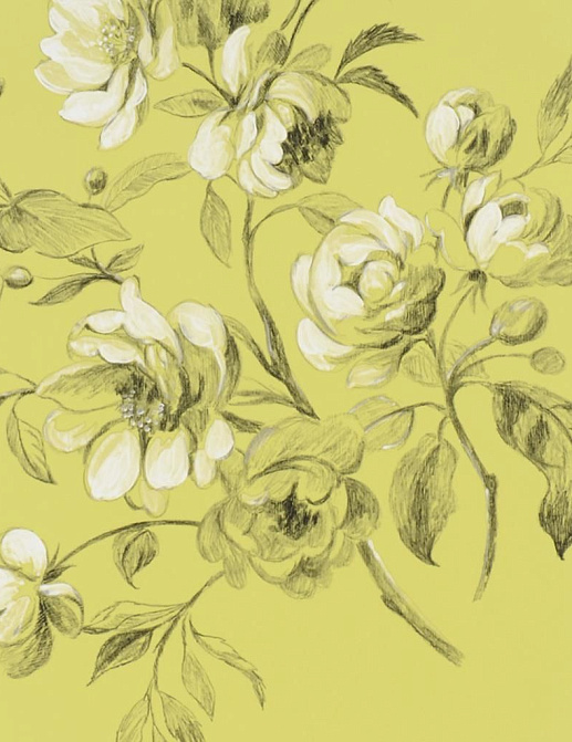 Обои Designers Guild Naturally III P540/06