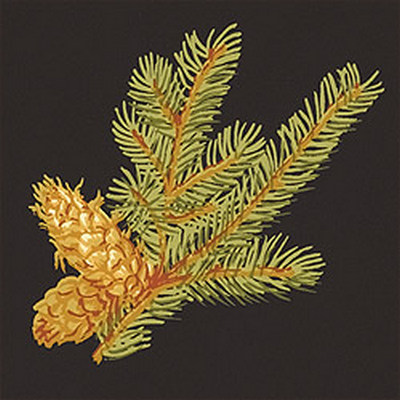 Обои Thibaut Castle Pine T6335