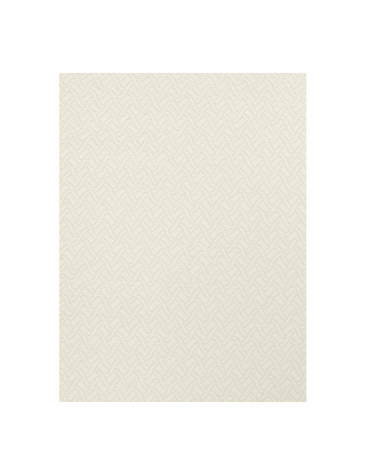 Ткань Fabricut Chromatics Vol.XXIII Marble Bhakri/Ivory
