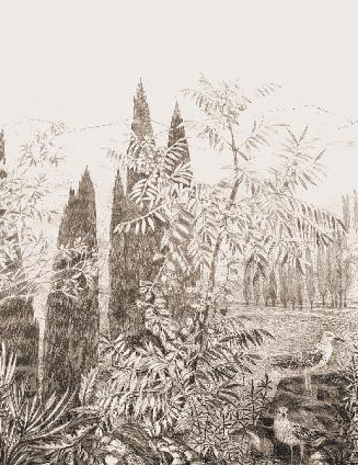 Панно и фотообои Affresco Фрески и фотообои ID135844