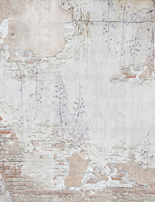 Панно и фотообои Affresco Фрески и фотообои 7182