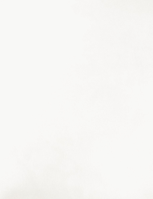 Ткань Daylight Felicity vol.II Infinito/Off White