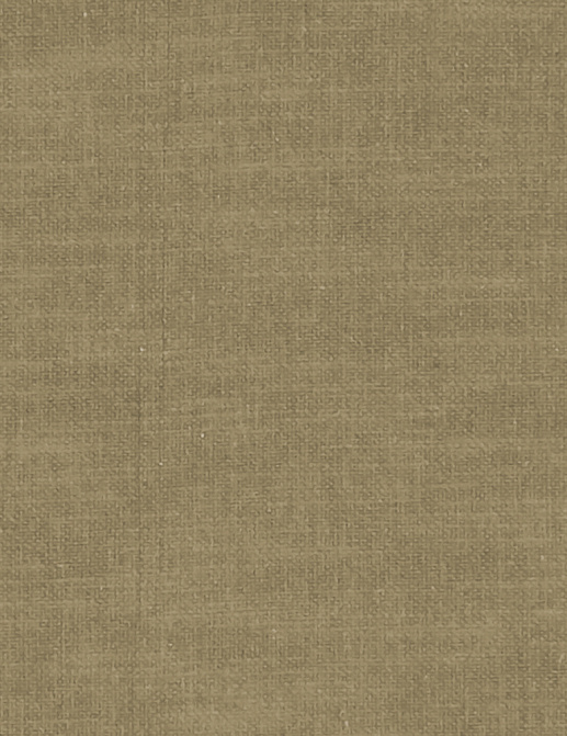 Ткань Clarke & Clarke Amalfi F1239/65