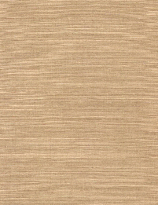 Обои York Ronald Redding Grasscloth & Natural Resource GV0104NW