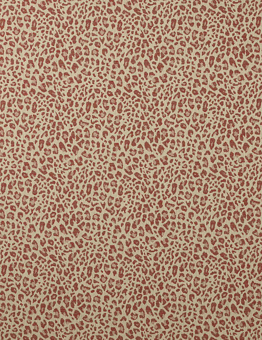 Ткань Colefax and Fowler Chester F4854/01