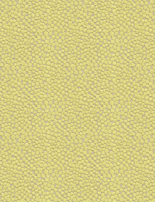 Ткань Kravet Modern Colors Tranquility 32972/323
