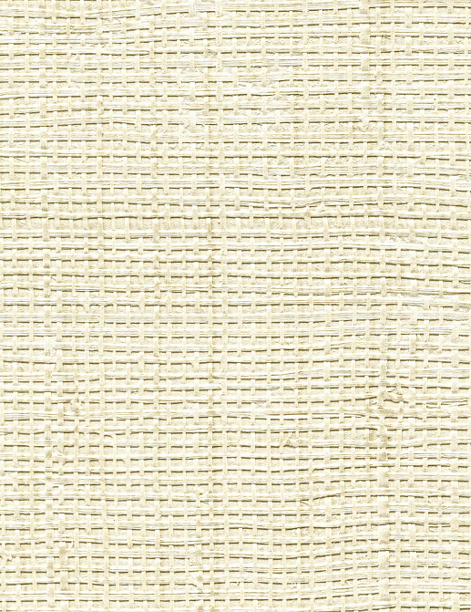 Обои Elitis Raffia & Madagascar VP60103