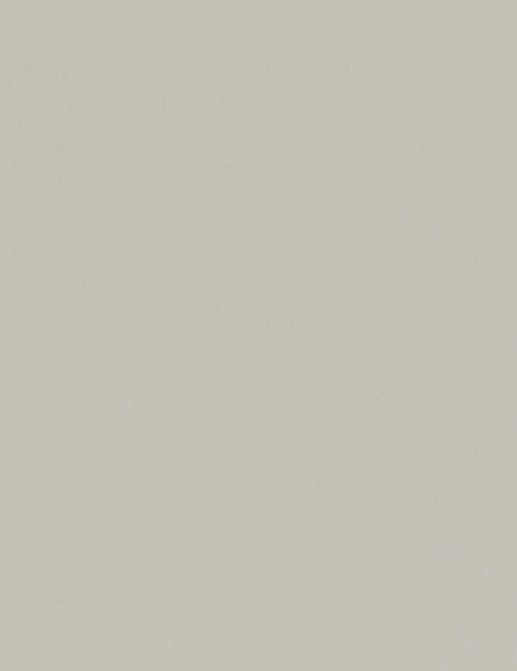 Обои Eco Almost White 3706