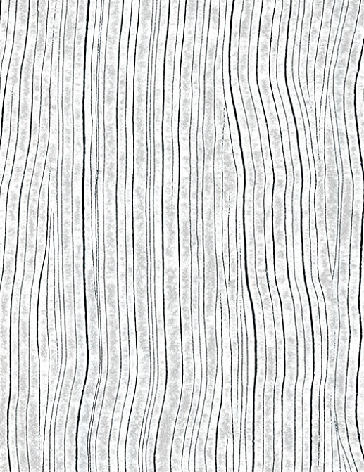 Обои Arte Monochrome 54041