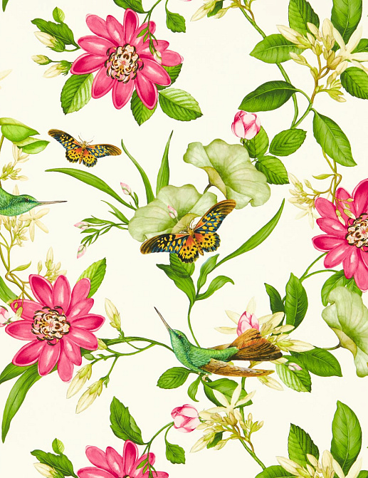 Обои Clarke & Clarke Botanical Wonders W0132/02