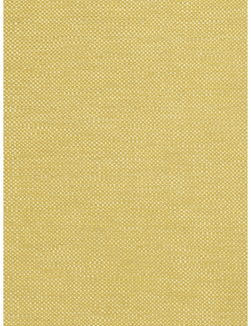 Ткань Trend Lemon Zest Cashew Prints & Wovens Vol.III 02628/LemonZest