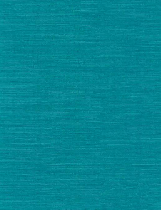 Обои York Ronald Redding Grasscloth & Natural Resource GV0155NW