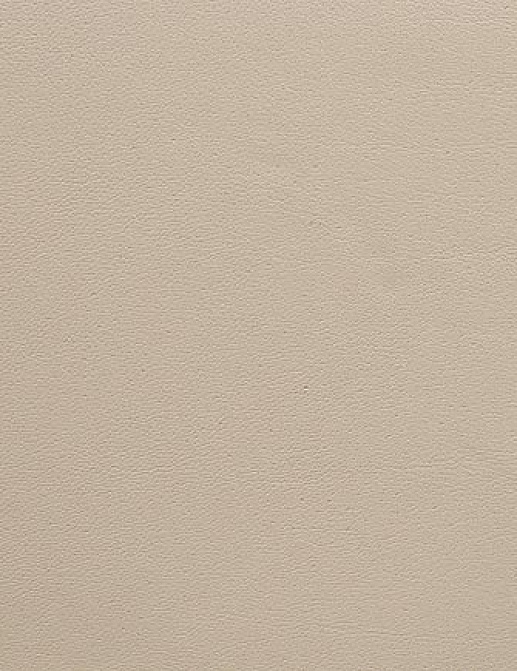 Ткань Holly Hunt Holly Hunt Leather 9250/01