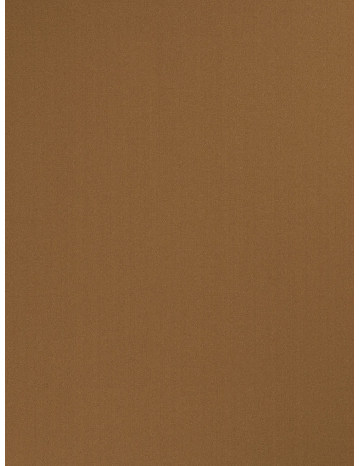 Ткань Trend Multipurpose Sleek Satin Vol.II 02022/Nutmeg