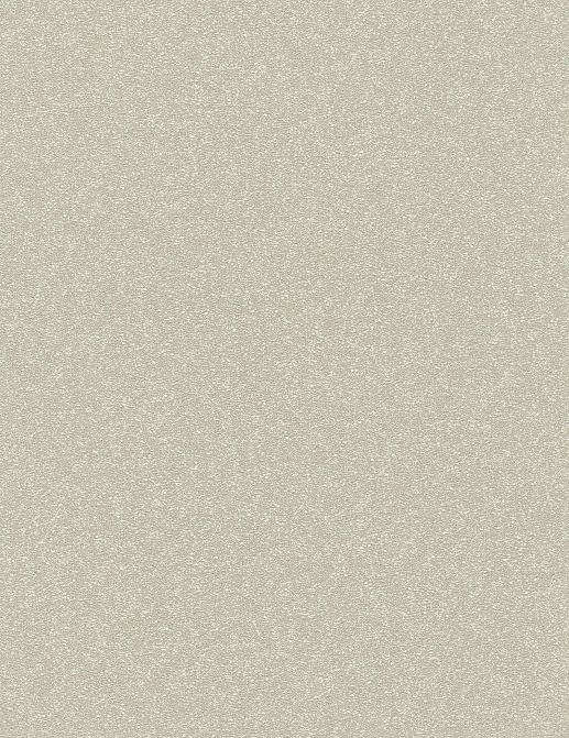 Обои Rasch Berlin 530292