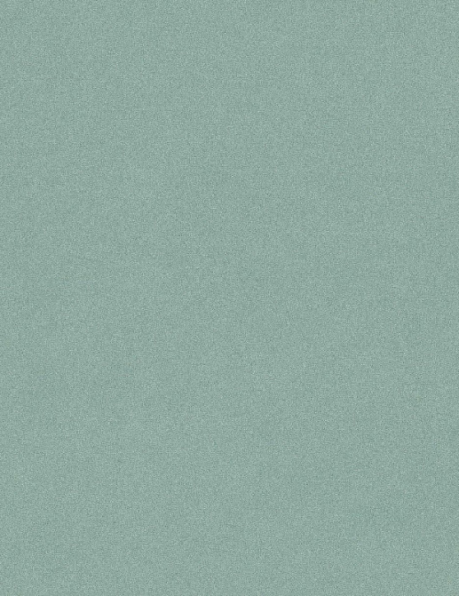 Обои Rasch Passepartout 606348