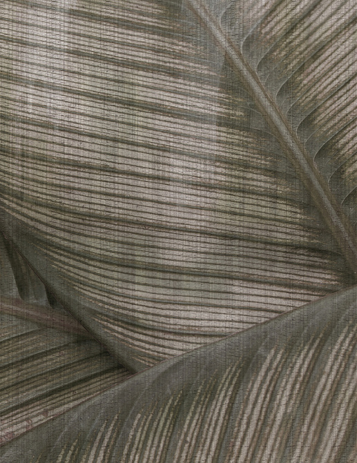 Панно и фотообои Glamora Creative Wallcovering GLRO123A