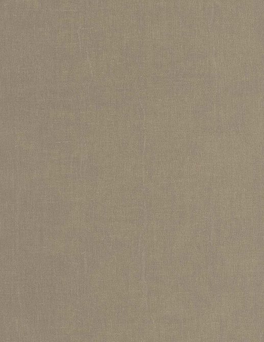 Обои Casadeco Etamine ETAM200252552